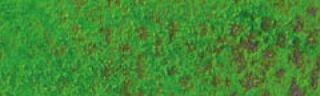 Pastela sucha w kredce Caran dAche - 234 Mid. Moss Green 30%